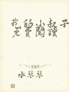 我的小叔子小说免费阅读封面