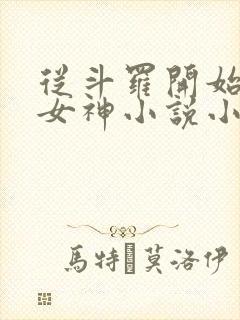 从斗罗开始俘获女神小说小说