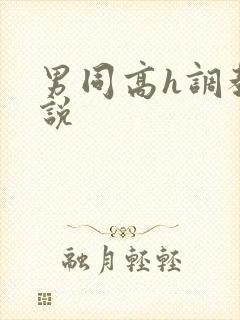 男同高h调教小说