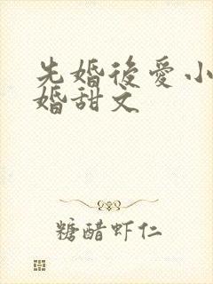 先婚后爱小说军婚甜文封面