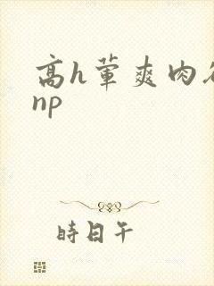 高h荤爽肉欲文np