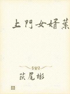 上门女婿叶辰封面