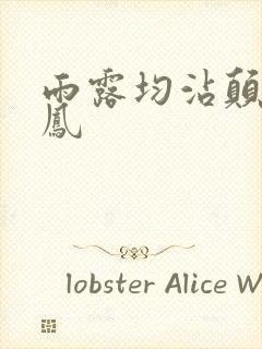 雨露均沾颠鸾倒凤封面