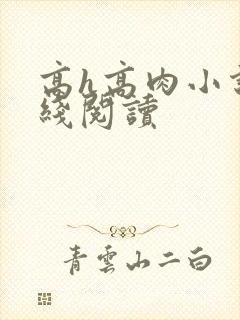 高h高肉小说在线阅读封面