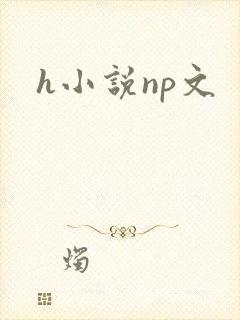 h小说np文