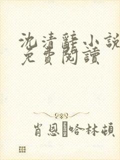沈清辞小说全文免费阅读封面