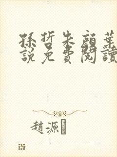 孙哲朱颜叶巧小说免费阅读笔趣阁