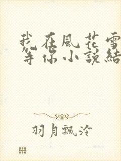 我在风花雪月里等你小说结局