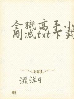 全职高手小说无删减txt下载