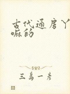 古代通房丫鬟干嘛的