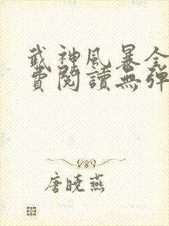 武神风暴全文免费阅读无弹窗笔趣阁封面