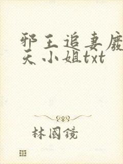 邪王追妻废材逆天小姐txt封面