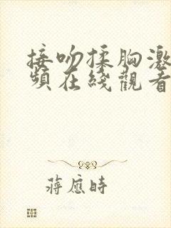 接吻揉胸激情视频在线观看