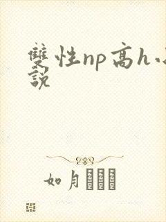 双性np高h小说