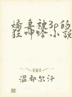 娇妻被3p的疯狂呻吟小说