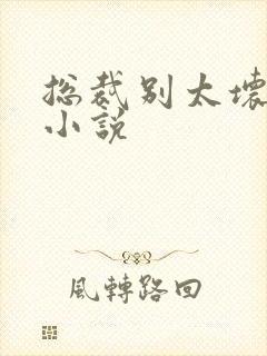 总裁别太坏免费小说