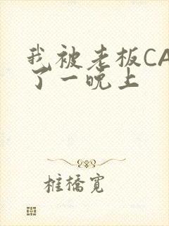 我被老板CAO了一晚上