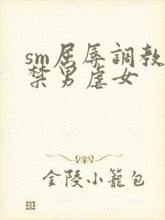 sm屈辱调教囚禁男虐女