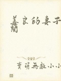 善良的妻子王晓兰