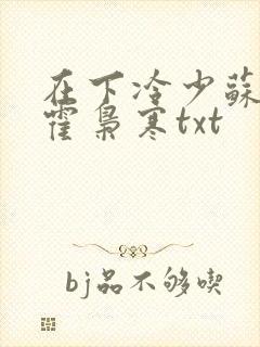 在下冷少苏婉,霍枭寒txt