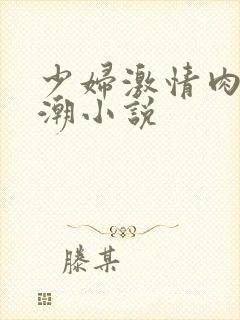 少妇激情肉欲高潮小说封面