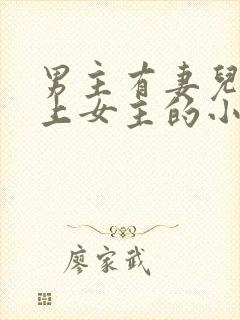 男主有妻儿却爱上女主的小说