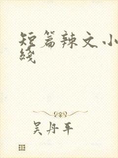 短篇辣文小说在线封面
