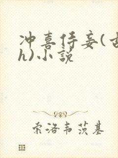 冲喜侍妾(古言h)小说