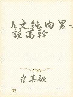 h文纯肉男女小说高干封面