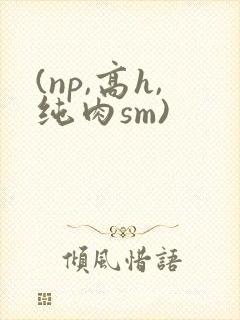 (np,高h,纯肉sm)