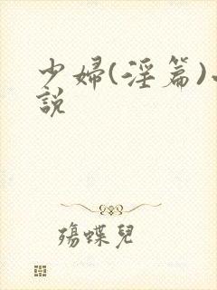 少妇(淫篇)小说