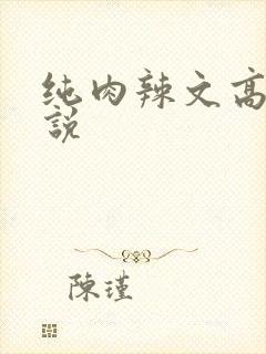纯肉辣文高h小说