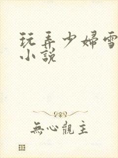 玩弄少妇雪白的小说