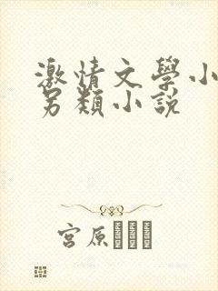 激情文学小说区另类小说