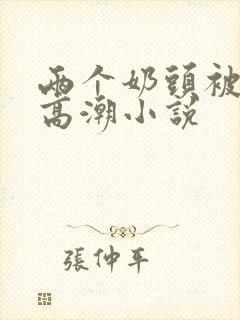 两个奶头被吃到高潮小说封面