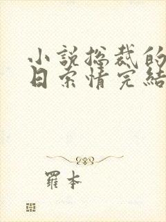 小说总裁的33日索情完结