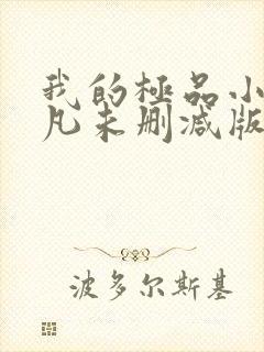 我的极品小姨叶凡未删减版
