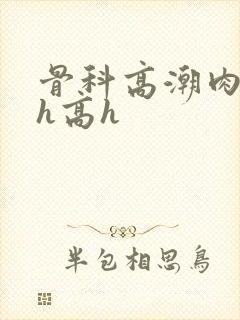 骨科高潮肉h文h高h