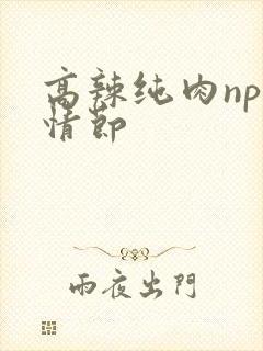 高辣纯肉np无情节