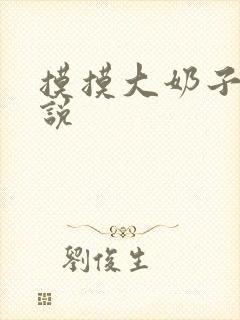 摸摸大奶子的小说