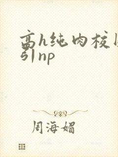 高h纯肉校园勾引np