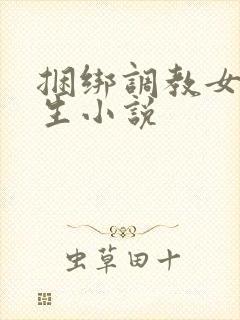 捆绑调教女高中生小说封面