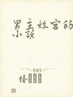 男主姓宫的总裁小说