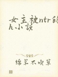 女主被ntr的h小说