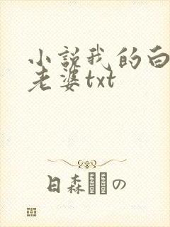 小说我的白富美老婆txt