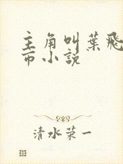 主角叫叶飞的都市小说封面