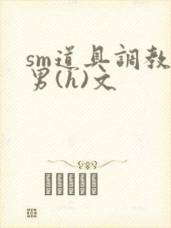 sm道具调教男男(h)文