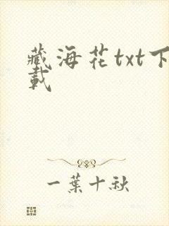 藏海花txt下载