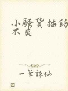 小骚货插的你爽不爽