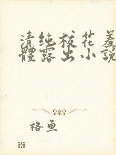 清纯校花羞耻裸体露出小说封面